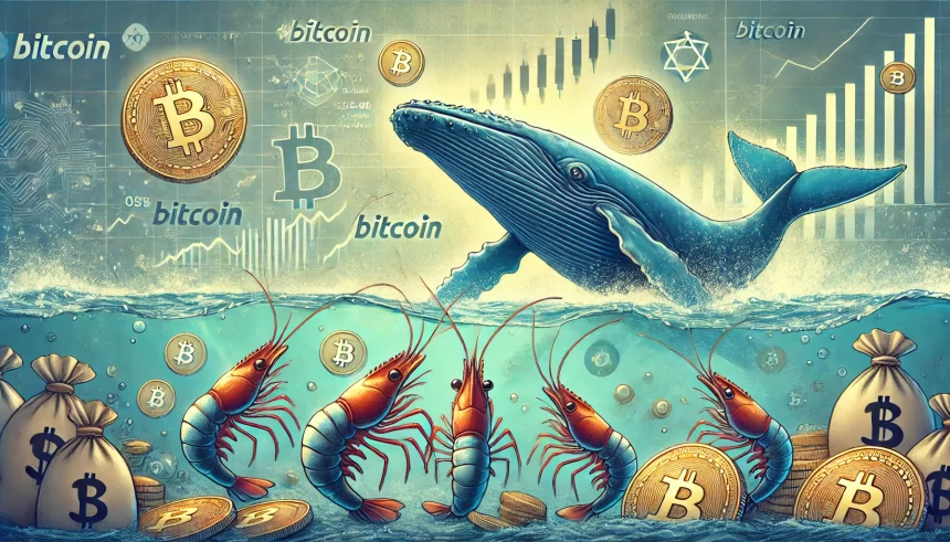 Camarões Bitcoin: O novo dinheiro inteligente ganha força enquanto baleias vendem