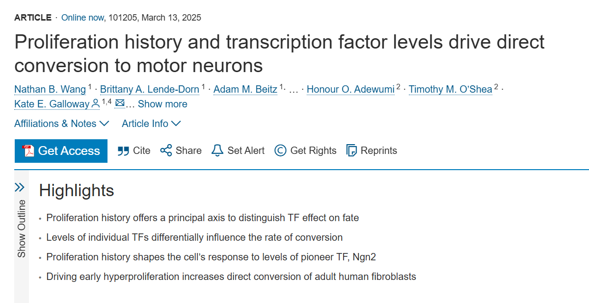 Células da pele em neurônios