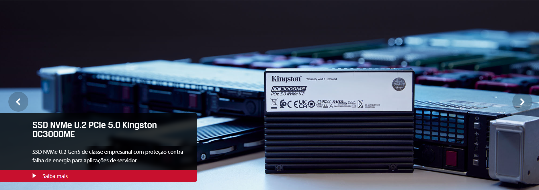 Kingston DDR5